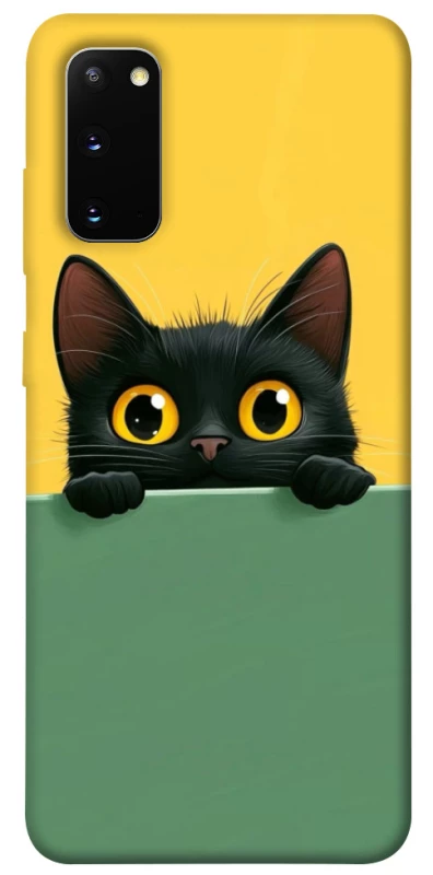 Чохол на Samsung Galaxy S20 Black cat v2 фото 1 з 1