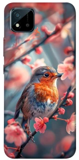 Чехол на Realme C20 Birdie фото 1 из 1
