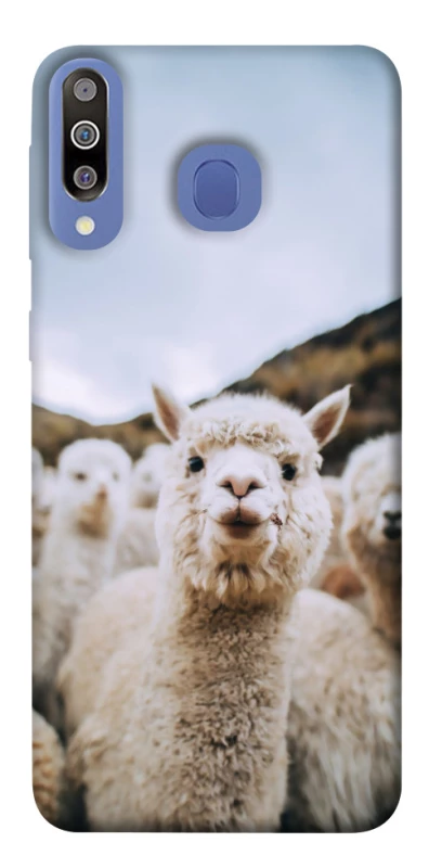 Чохол на Samsung Galaxy M30 Лама фото 1 з 1