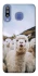 Чохол на Samsung Galaxy M30 Лама фото 1 з 1