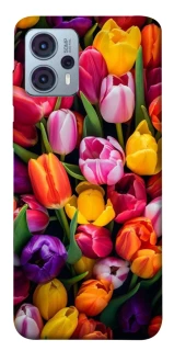 Чохол на Motorola Moto G23 Flowers v30 фото 1 Чохол на Motorola Moto G23 Flowers v30 фото 1 з 1