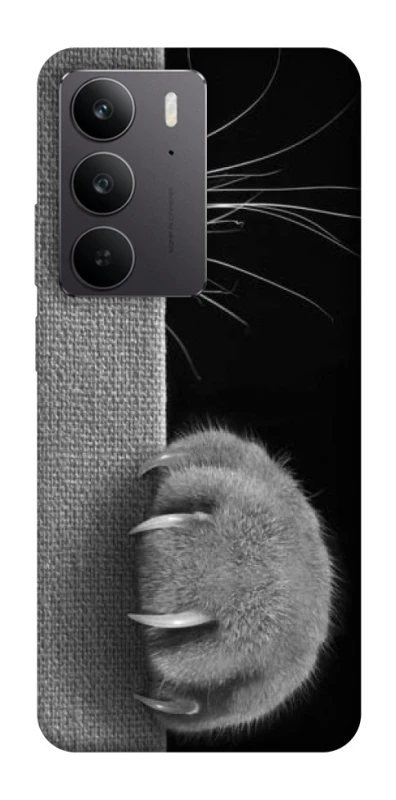 Чохол на Realme C75 Spy Cat фото 1 з 1