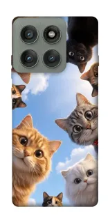 Чехол на Motorola Edge 60 Pro Cats фото 1 из 1