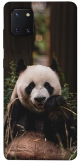 Чехол на Samsung Galaxy Note 10 Lite (A81) Панда фото 1 из 1