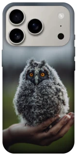 Чехол на Apple iPhone 17 Pro (6.3") Совёнок фото 1 из 1