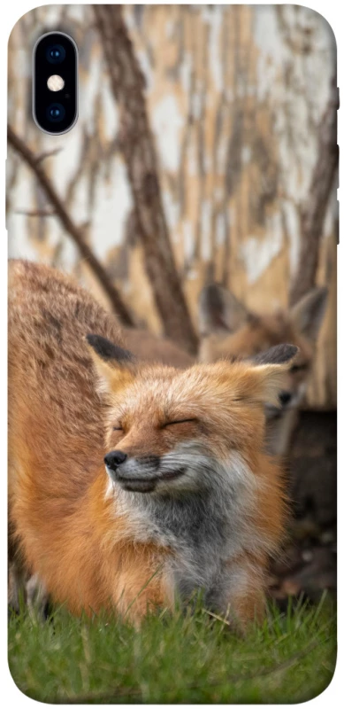 Чехол на Apple iPhone XS Max (6.5") Лиса фото 1 из 1
