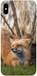 Чехол на Apple iPhone XS Max (6.5") Лиса фото 1 из 1