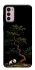 Чохол на Motorola Moto G42 Panda and tree фото 1 з 1