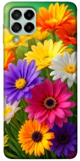 Чехол на Samsung Galaxy M53 5G Flowers v32 фото 1 из 1