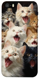 Чохол на Apple iPhone 5/5S/SE Коти фото 1 з 1