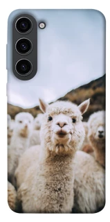 Чехол на Samsung Galaxy S23 Лама фото 1 из 1