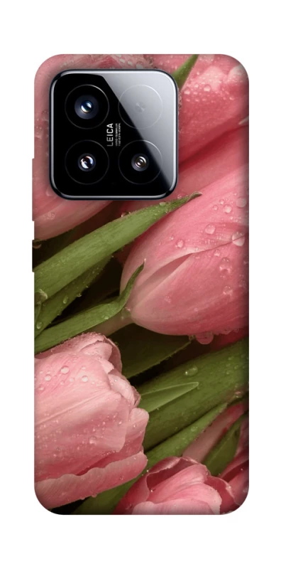 Чохол на Xiaomi 15 Beauty фото 1 з 1