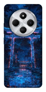 Чохол на Xiaomi Redmi 14C / Poco C75 torii gate фото 1 з 1