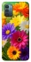 Чехол на Nokia G21 Flowers v32 фото 1 из 1