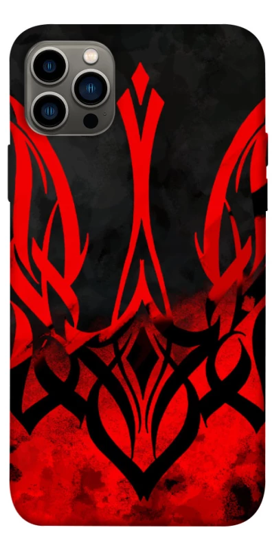 Чехол на Apple iPhone 12 Pro (6.1") Герб v18 фото 1 из 1