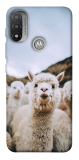 Чохол на Motorola Moto E20 Лама фото 1 з 1