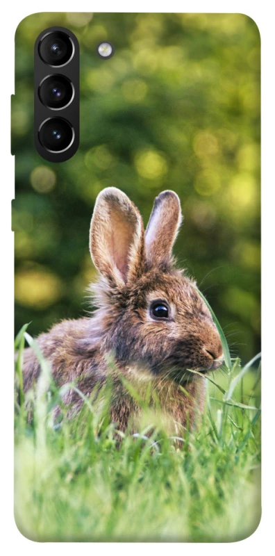 Чехол на Samsung Galaxy S21+ Кролики фото 1 из 1