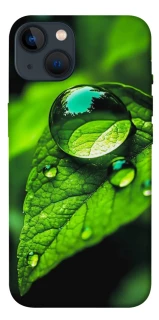 Чехол на Apple iPhone 13 (6.1") Flowers v16 фото 1 из 1