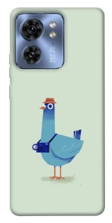 Чехол на Motorola Edge 40 Голуб-детектив фото 1 из 1