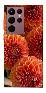 Чохол на Samsung Galaxy S22 Ultra Flower1 фото 1 з 1