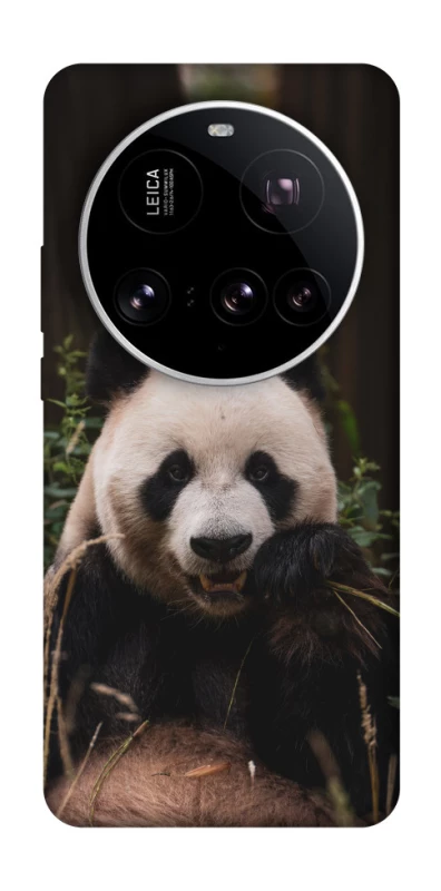 Чохол на Xiaomi 15 Ultra Панда фото 1 з 1