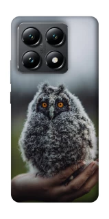 Чохол на Xiaomi 14T Совеня фото 1 з 1