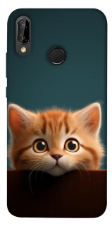 Чохол на Huawei P20 Lite Чохол Кошеня фото 1 Чохол на Huawei P20 Lite Чохол Кошеня фото 1 з 1