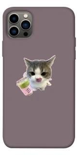 Чохол на Apple iPhone 12 Pro (6.1") cat matcha фото 1 з 1