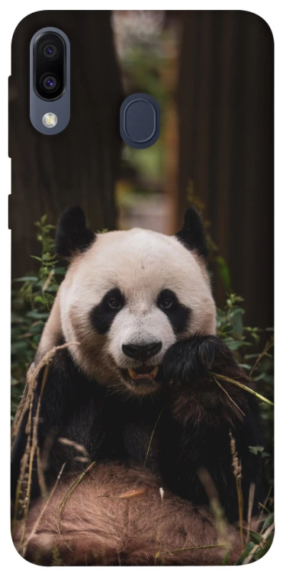 Чехол на Samsung Galaxy M20 Панда фото 1 из 1