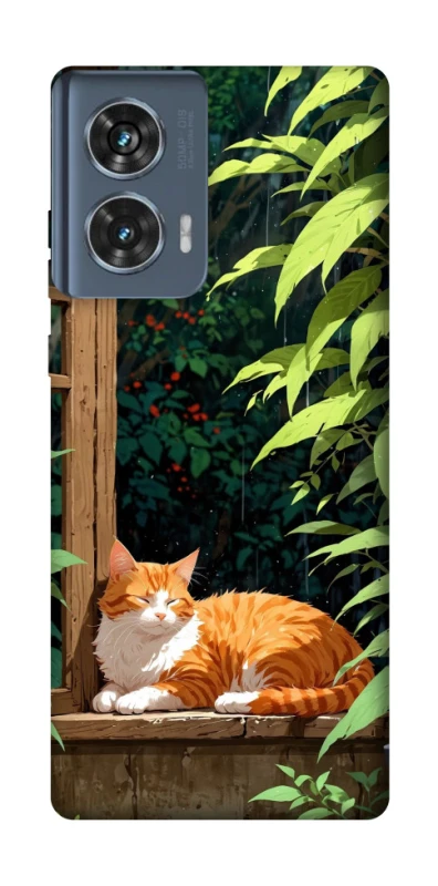 Чехол на Motorola Edge 50 red cat фото 1 из 1