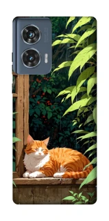 Чохол на Motorola Edge 50 red cat фото 1 з 1