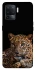 Чохол на Oppo Reno 5 Lite Leopard v4 фото 1 з 1