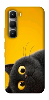 Чохол на Infinix Hot 60 Pro This is Cat фото 1 з 1