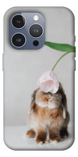 Чохол на Apple iPhone 16 Pro Max Bunny фото 1 з 1