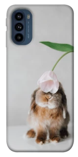 Чохол на Motorola Moto G41 Bunny фото 1 з 1