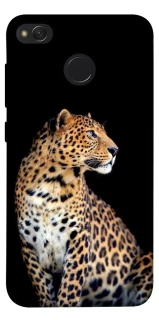 Чохол на Xiaomi Redmi 4X Leopard v2 фото 1 з 1