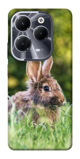 Чехол на Infinix Hot 40 Pro Кролики фото 1 из 1