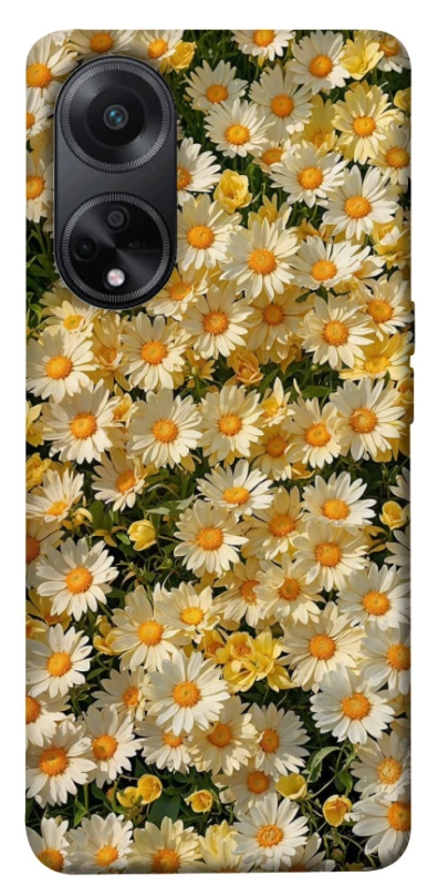 Чохол на Oppo A58 4G Camomile фото 1 з 1