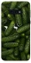 Чохол на Samsung Galaxy S10e Cucumber фото 1 з 1