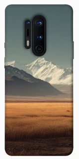 Чехол на OnePlus 8 Pro Asian mountains фото 1 из 1