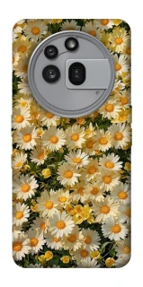 Чехол на Nothing Phone (3a) Pro Camomile фото 1 из 1