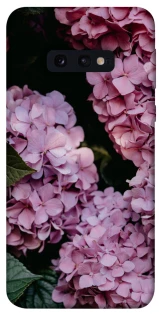 Чохол на Samsung Galaxy S10e Рожеві гартензії фото 1 з 1