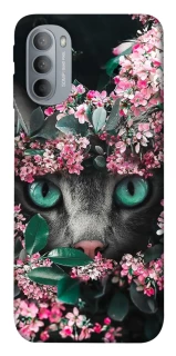 Чохол на Motorola Moto G31 Кіт в квітах фото 1 з 1