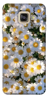 Чохол на Samsung A520 Galaxy A5 (2017) Поле ромашок фото 1 з 1