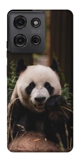 Чехол на Motorola Moto G75 Панда фото 1 из 1