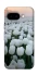 Чехол на Google Pixel 9a Flowers v1 фото 1 Чехол на Google Pixel 9a Flowers v1 фото 1 из 1