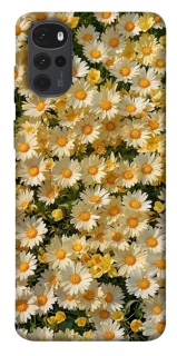 Чехол на Motorola Moto G22 Camomile фото 1 из 1