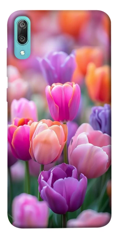 Чохол на Huawei Y6 Pro (2019) Тюльпанове поле фото 1 з 1
