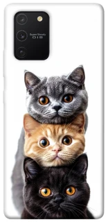 Чохол на Samsung Galaxy S10 Lite Гарні котики фото 1 з 1