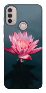 Чохол на Motorola Moto E40 Лотос фото 1 з 1